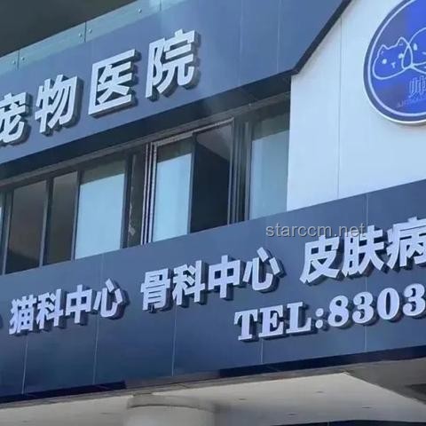 传统宠物VS异宠：我国超1700万人的养宠新选择
